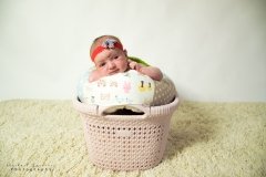 Newborn Photography