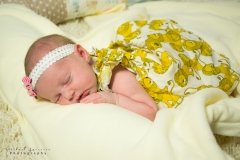 Newborn Photography